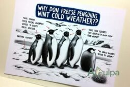 Por que os pinguins não congelam?