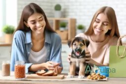 Dicas para socializar um filhote de cachorro